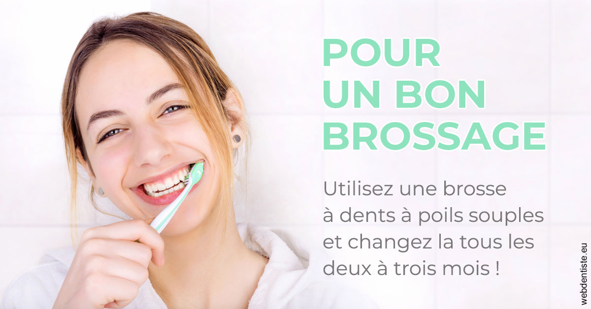 https://www.wilm-dentiste.fr/Pour un bon brossage 2