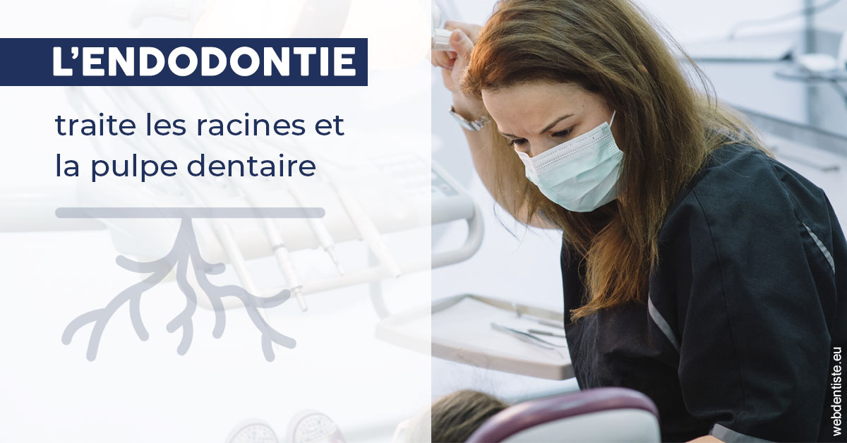 https://www.wilm-dentiste.fr/L'endodontie 1