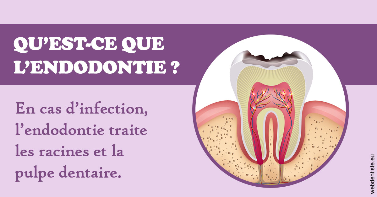 https://www.wilm-dentiste.fr/2024 T1 - Endodontie 02