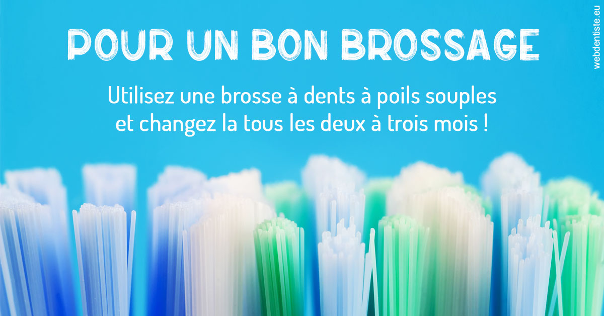 https://www.wilm-dentiste.fr/Pour un bon brossage 1