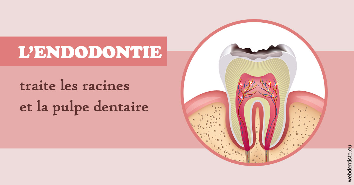 https://www.wilm-dentiste.fr/L'endodontie 2
