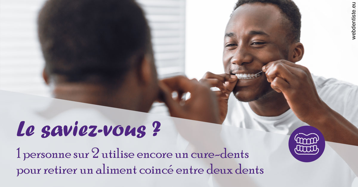 https://www.wilm-dentiste.fr/Cure-dents 2