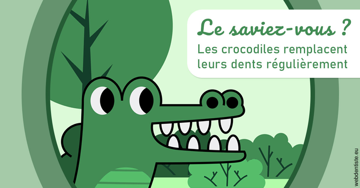 https://www.wilm-dentiste.fr/Crocodiles 2