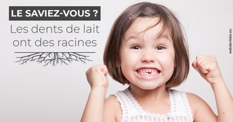 https://www.wilm-dentiste.fr/Les dents de lait
