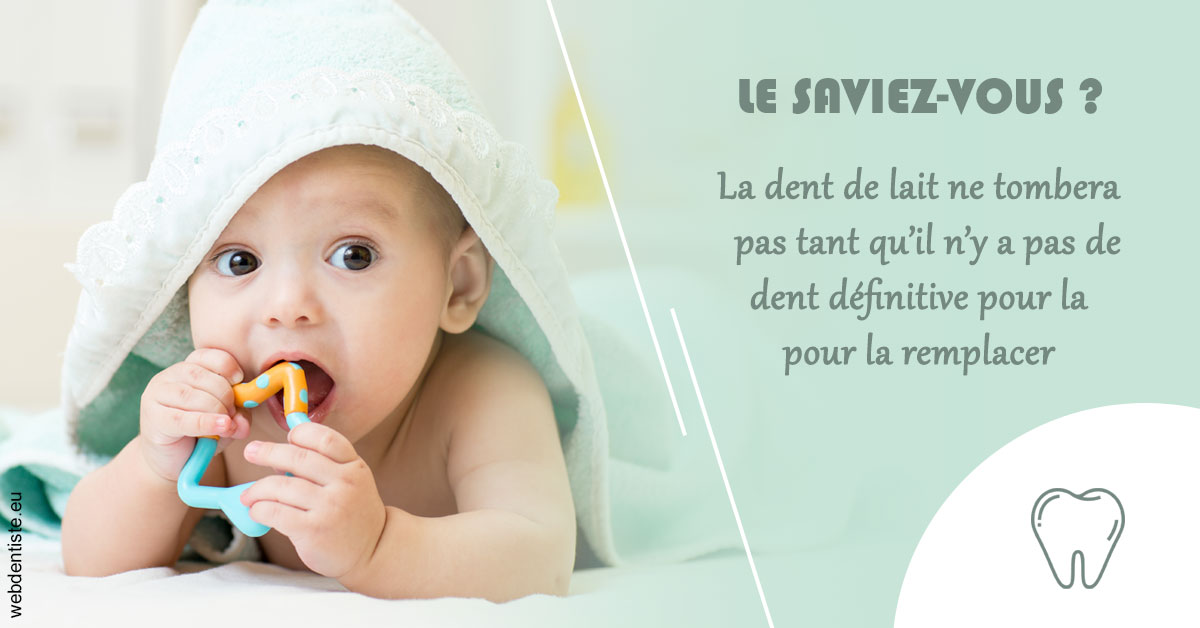 https://www.wilm-dentiste.fr/La dent de lait 2