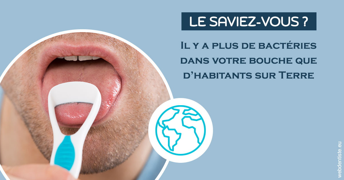 https://www.wilm-dentiste.fr/Bactéries dans votre bouche 2