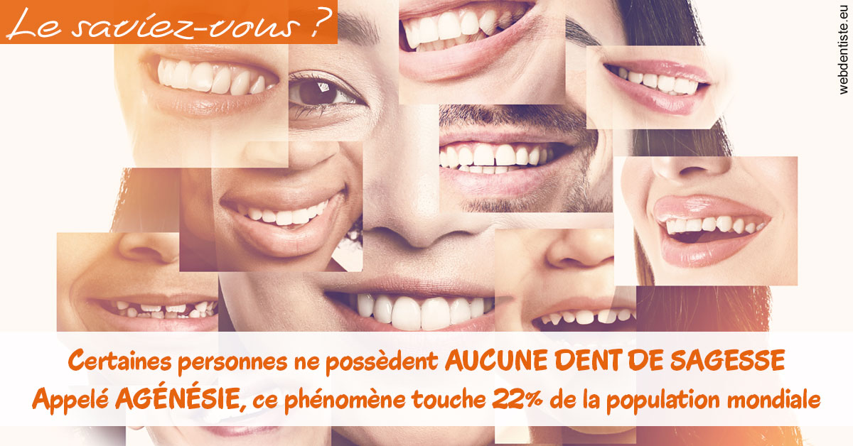 https://www.wilm-dentiste.fr/Agénésie 2