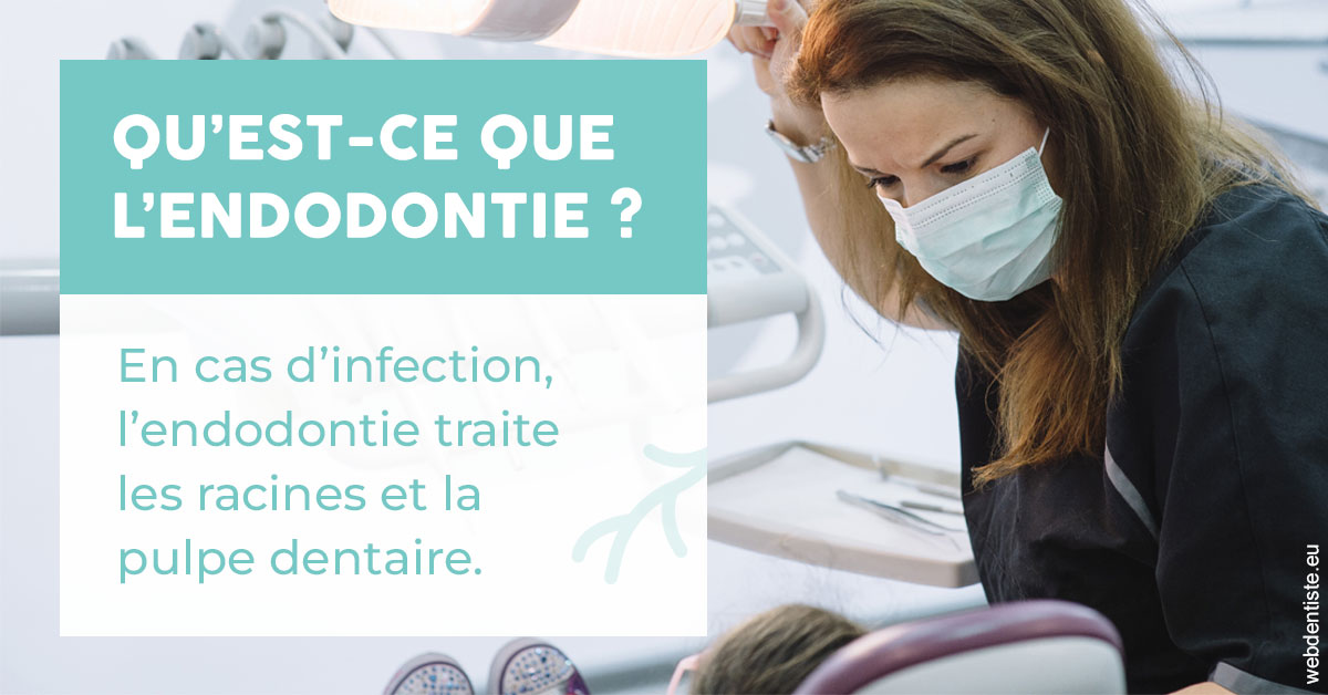 https://www.wilm-dentiste.fr/2024 T1 - Endodontie 01